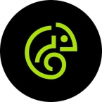 Company Spotlight: Pingle Studio